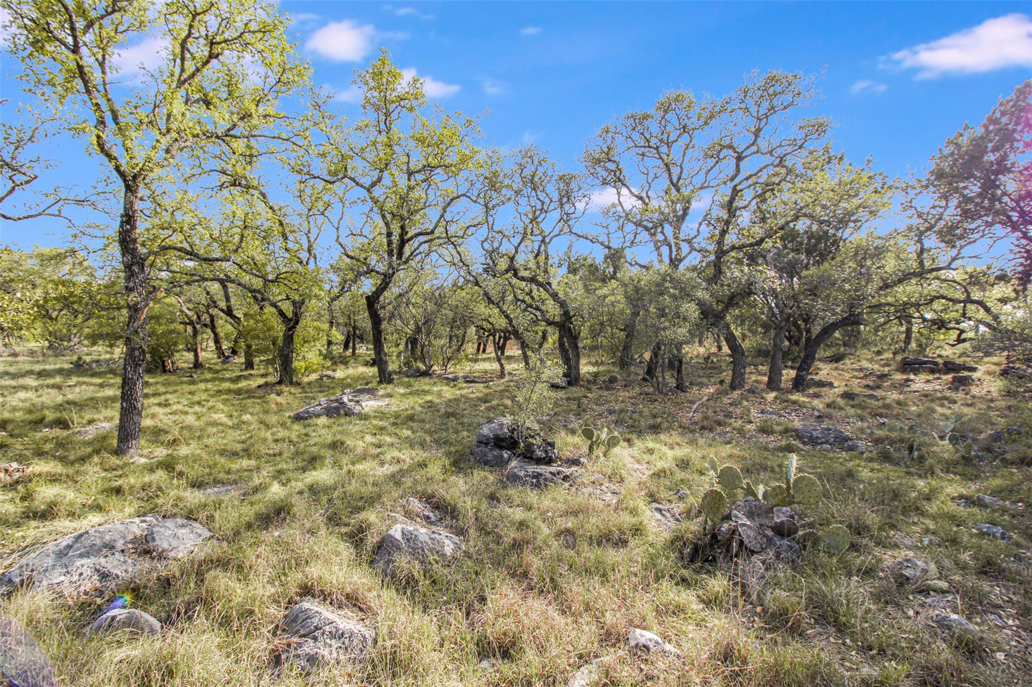 Tbd Crest View Property Photo 5
