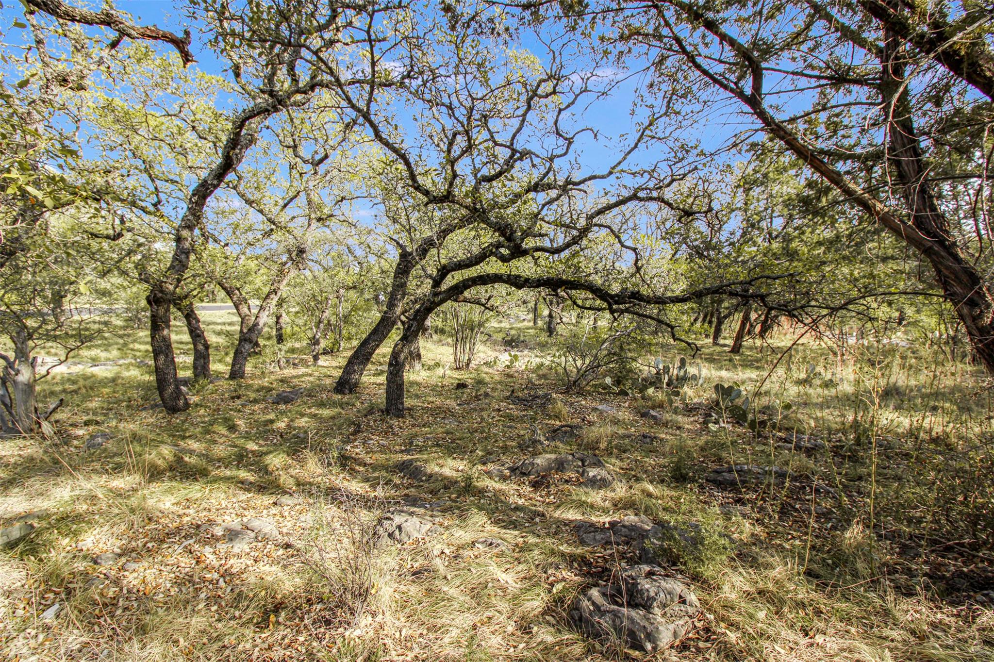 Tbd Crest View Property Photo 6