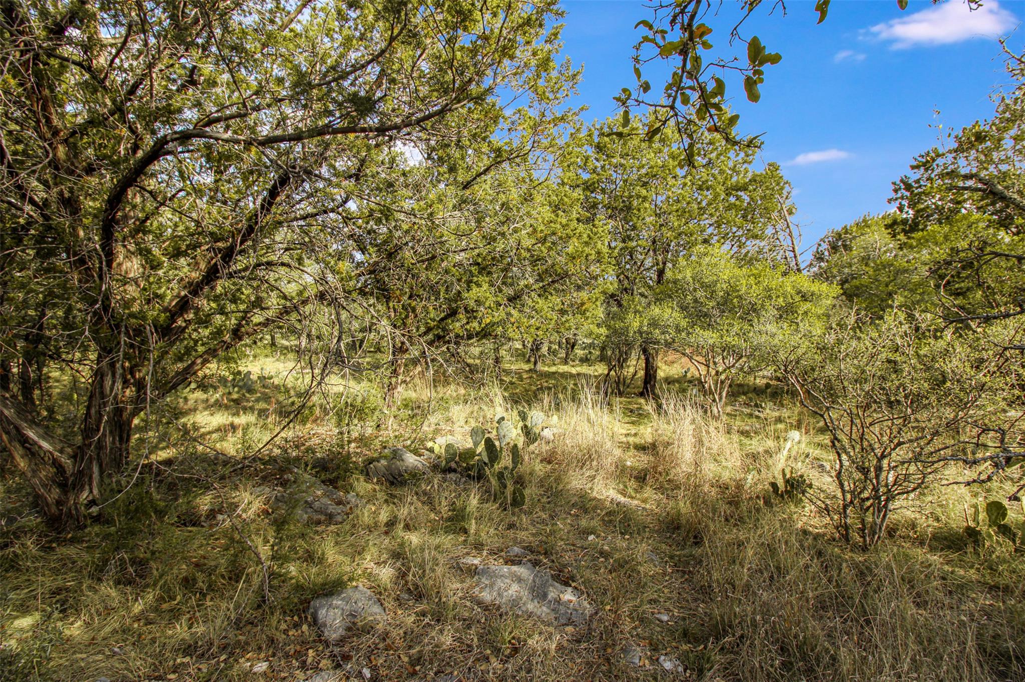 Tbd Crest View Property Photo 7