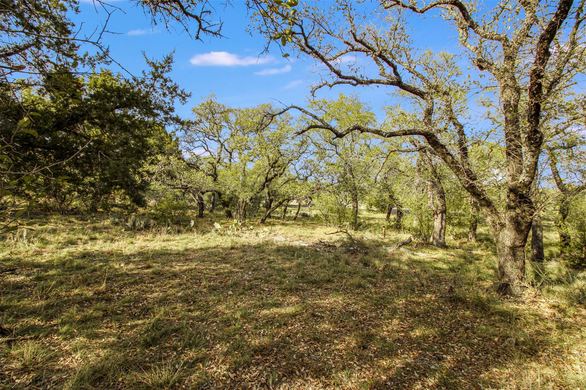 Tbd Crest View Property Photo 8