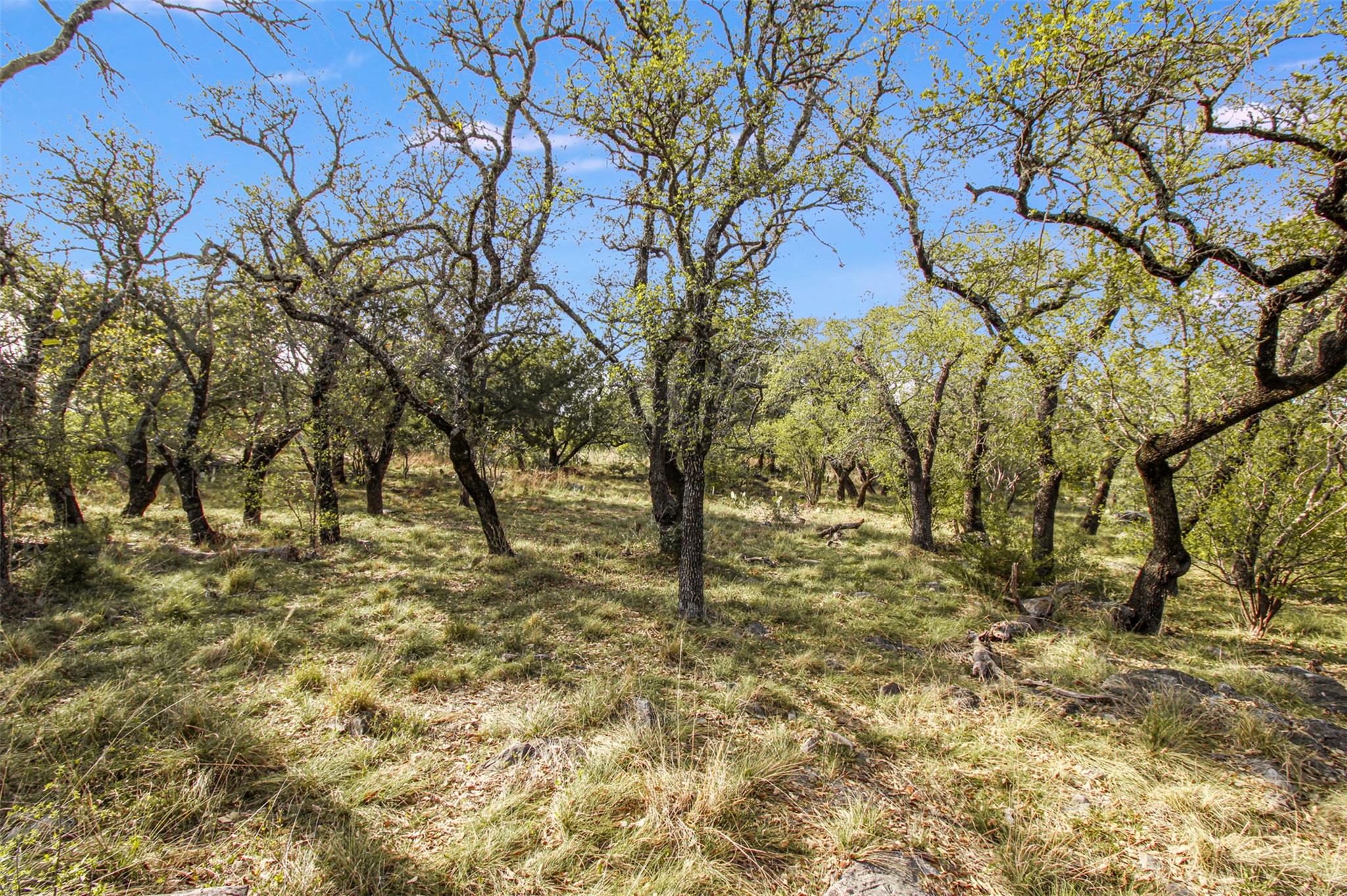 Tbd Crest View Property Photo 9