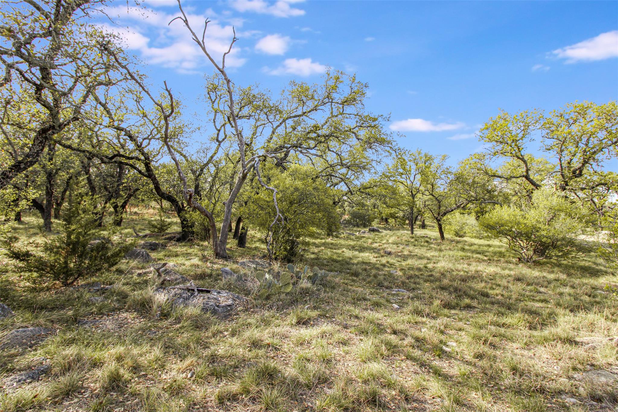 Tbd Crest View Property Photo 10