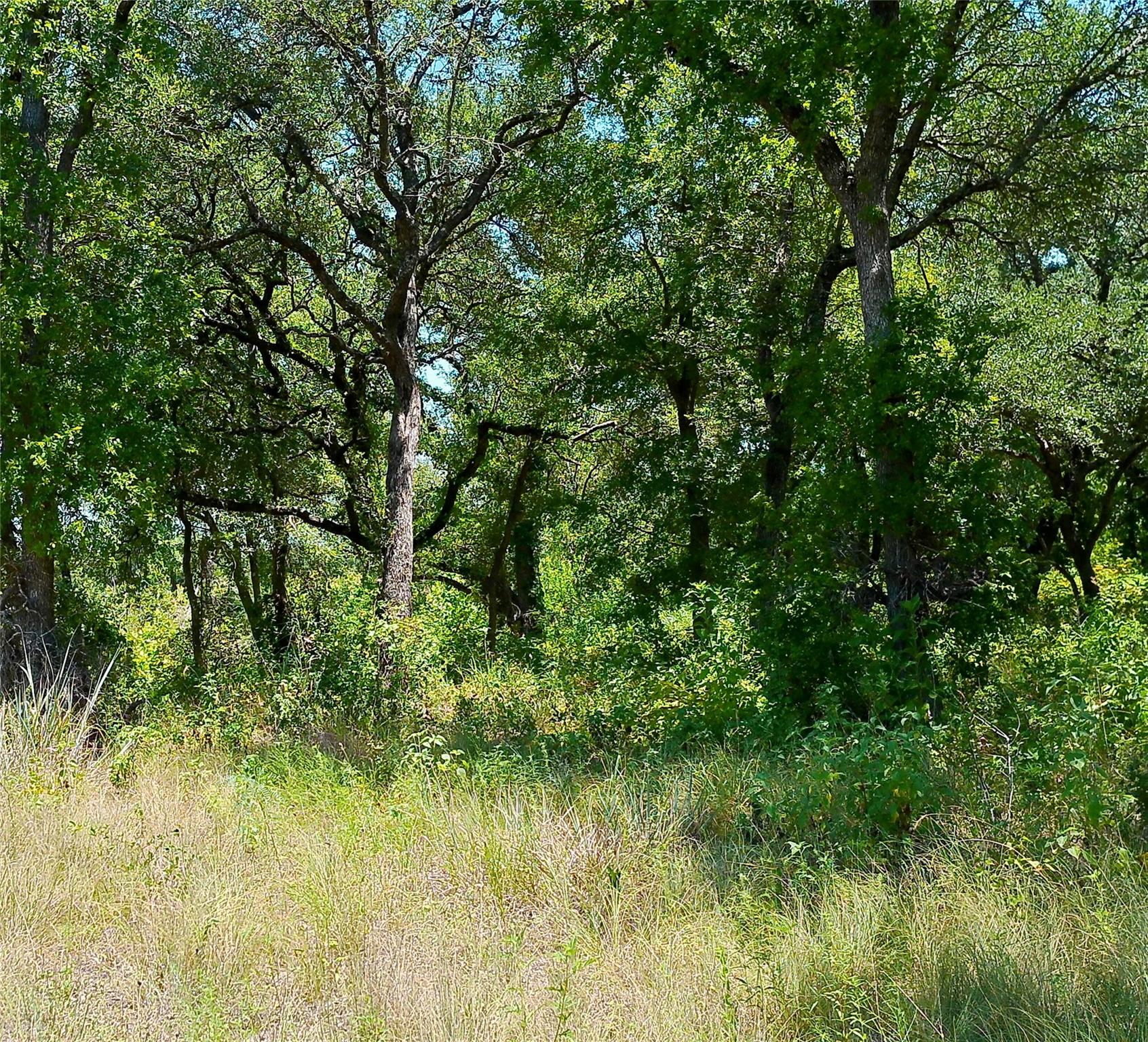 216 Serenity Dr Property Photo 2
