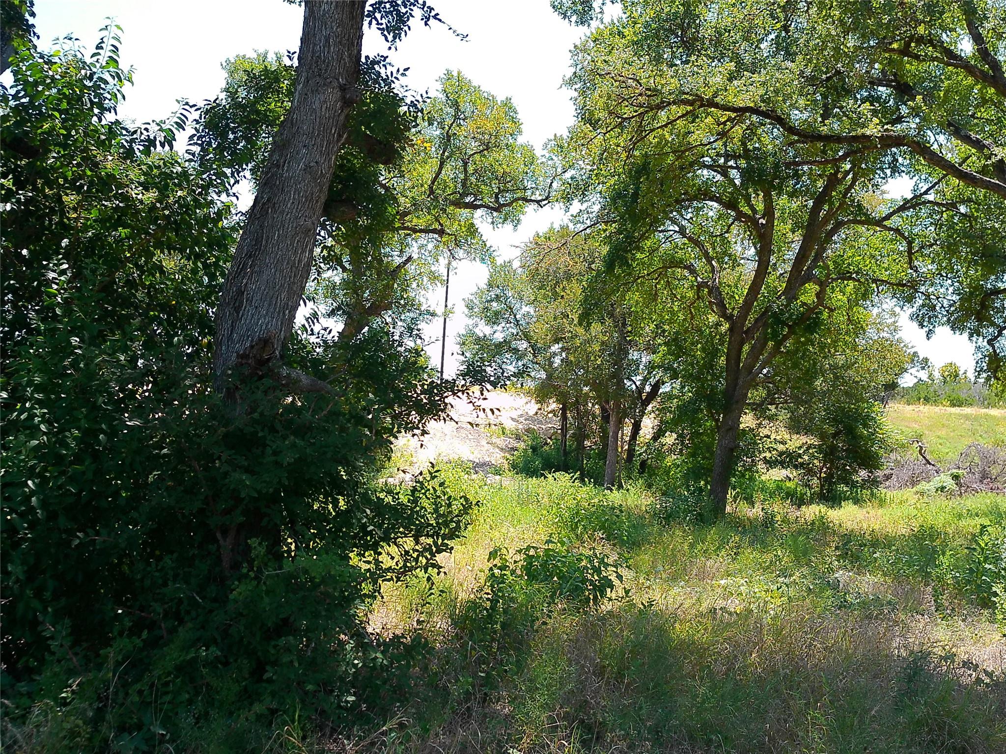 216 Serenity Dr Property Photo 3