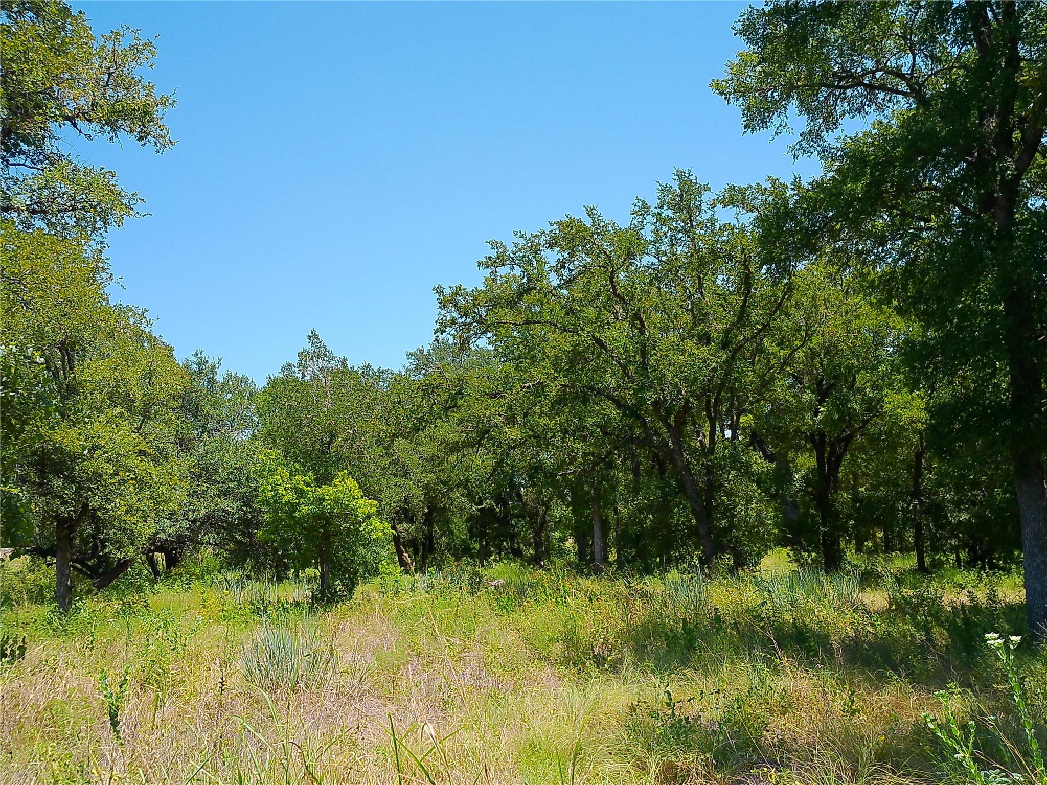216 Serenity Dr Property Photo 8