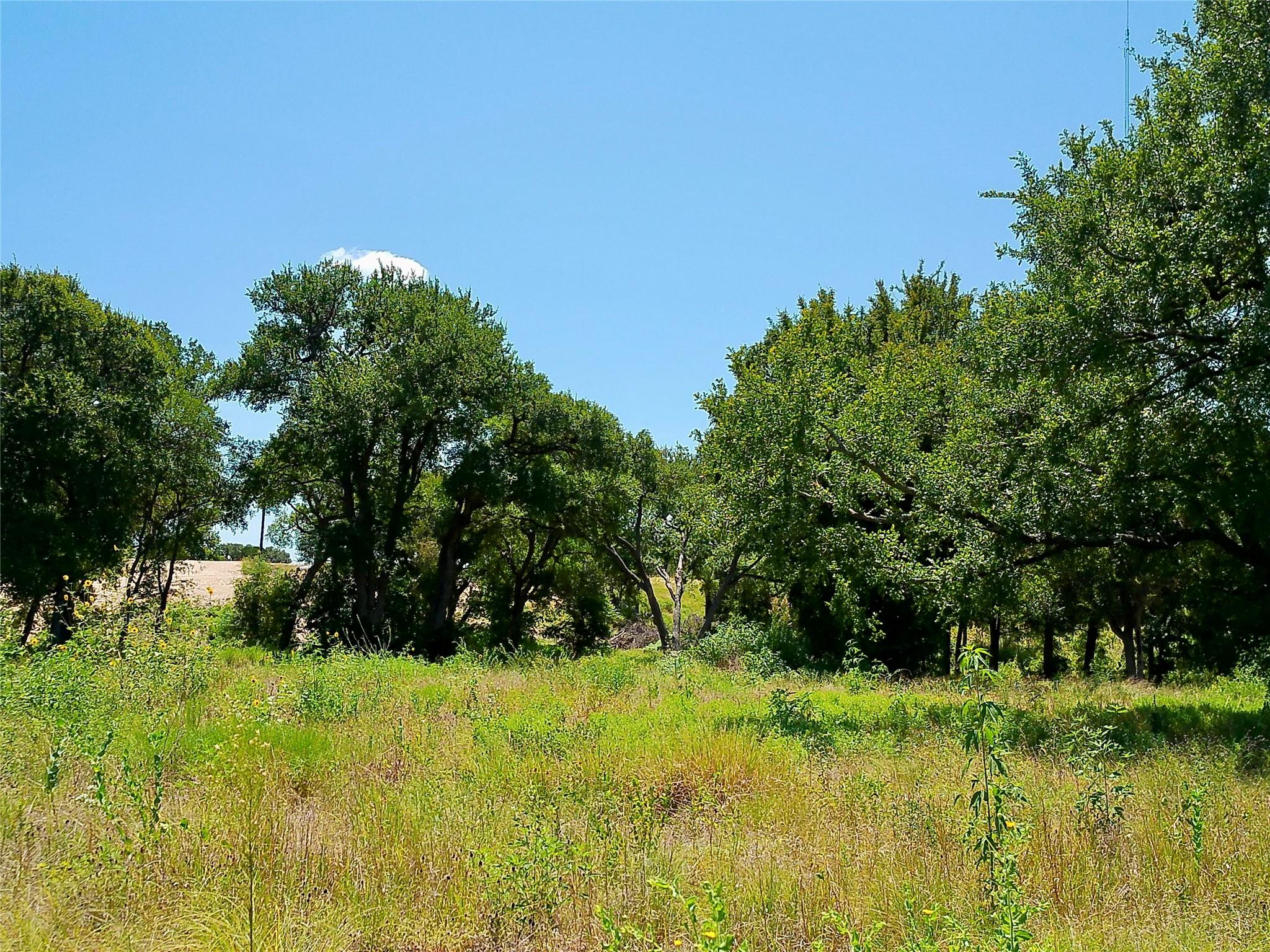 216 Serenity Dr Property Photo 26
