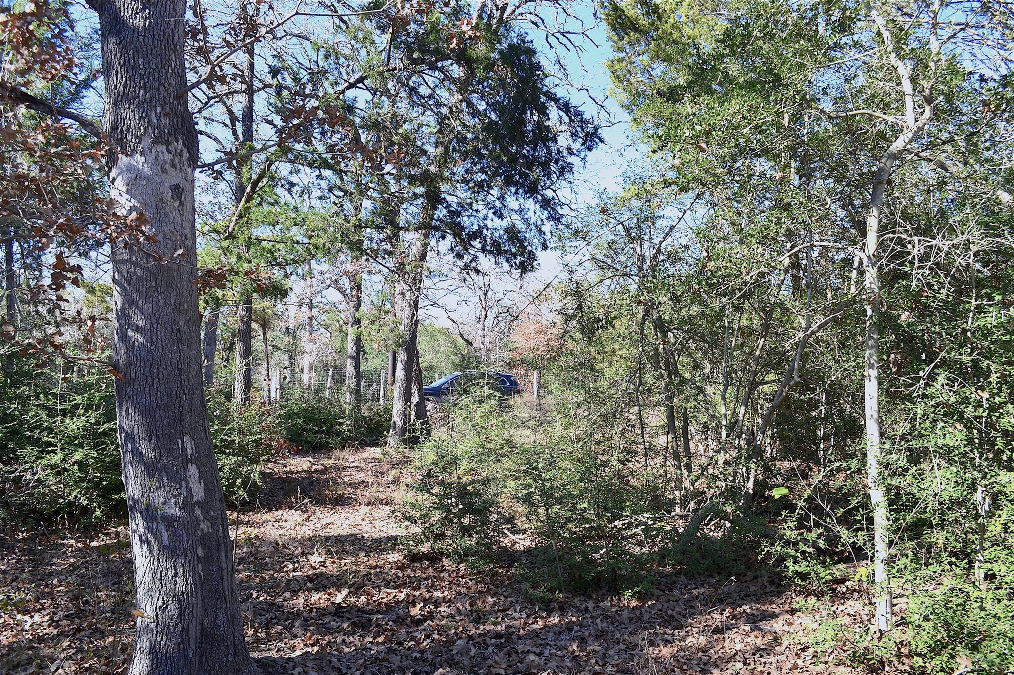 10318-1 Parsons Rd Property Photo 4