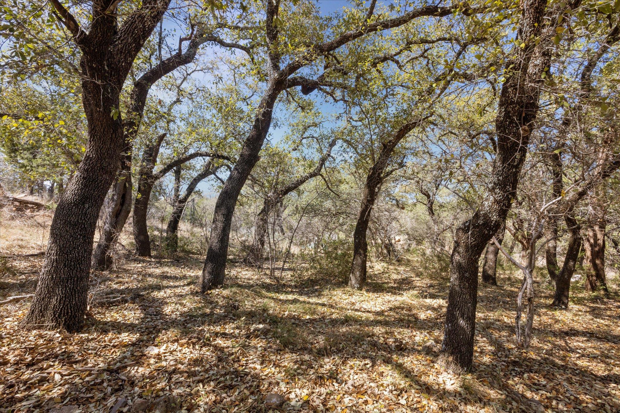 Lot 270 Sunnypoint Dr Property Photo 3