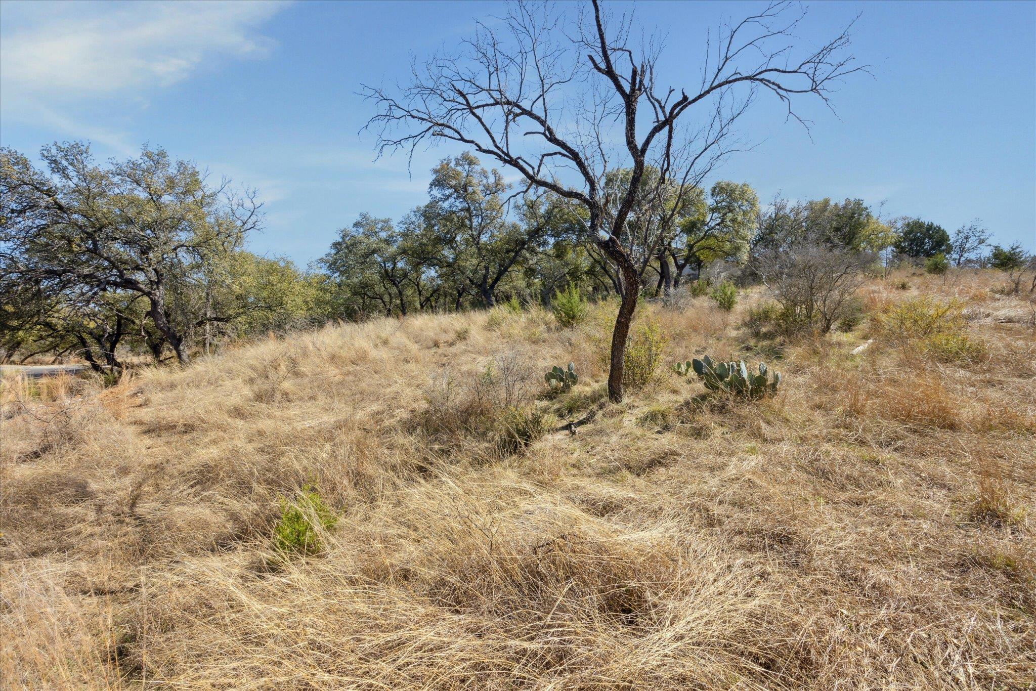 Lot 270 Sunnypoint Dr Property Photo 4
