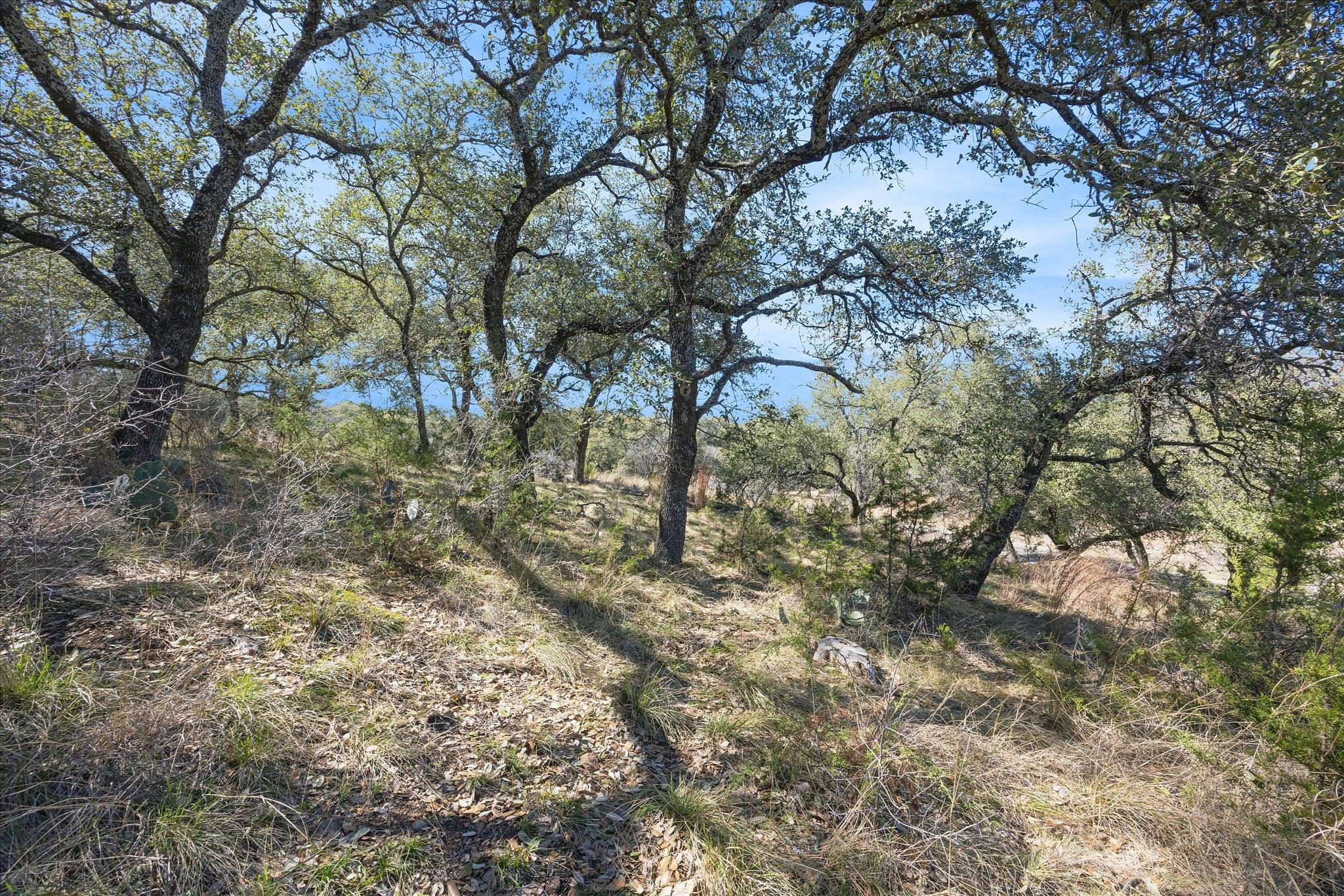 Lot 270 Sunnypoint Dr Property Photo 5