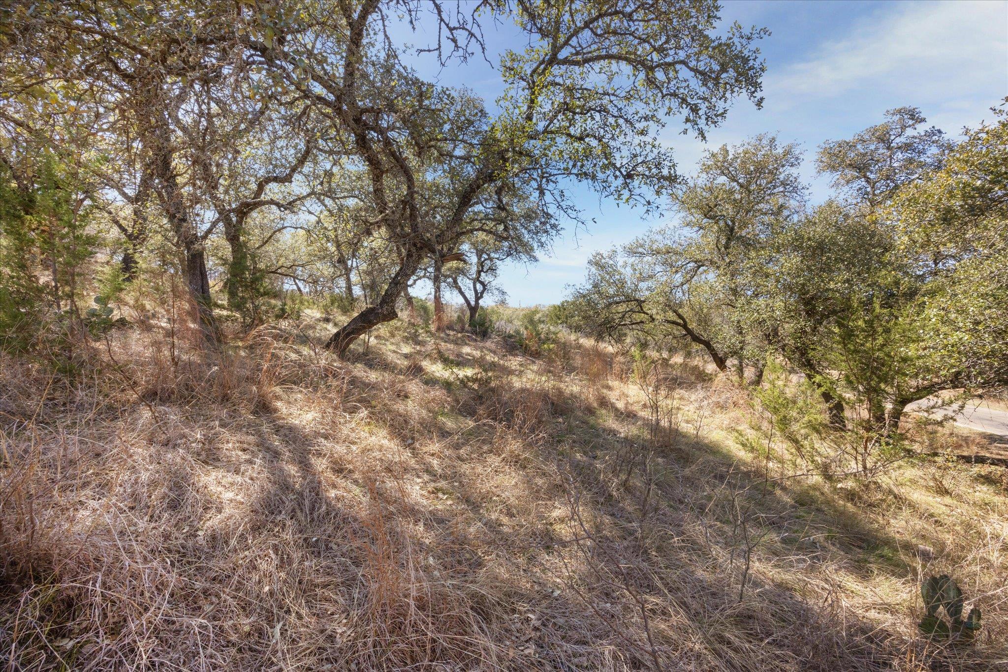 Lot 270 Sunnypoint Dr Property Photo 6