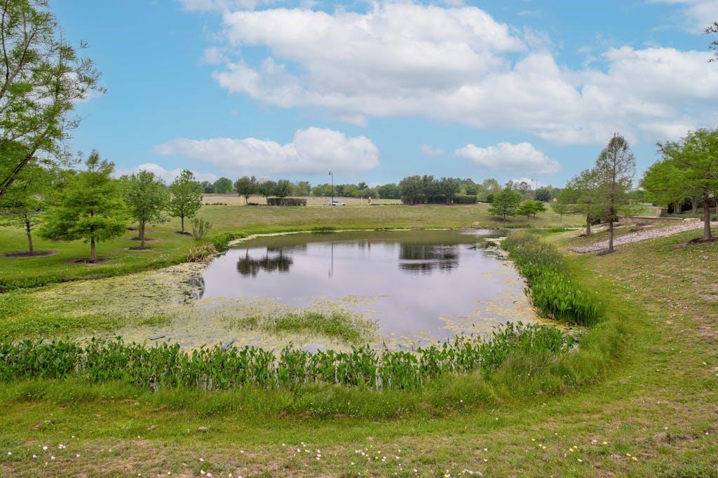 707 Eves Necklace Dr Property Photo 31