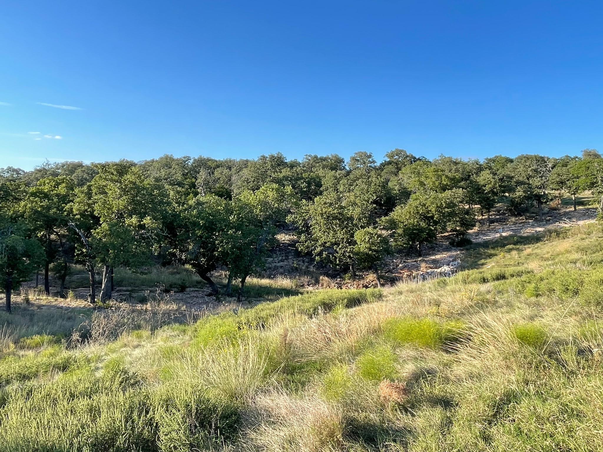 8166166 Property Photo 2