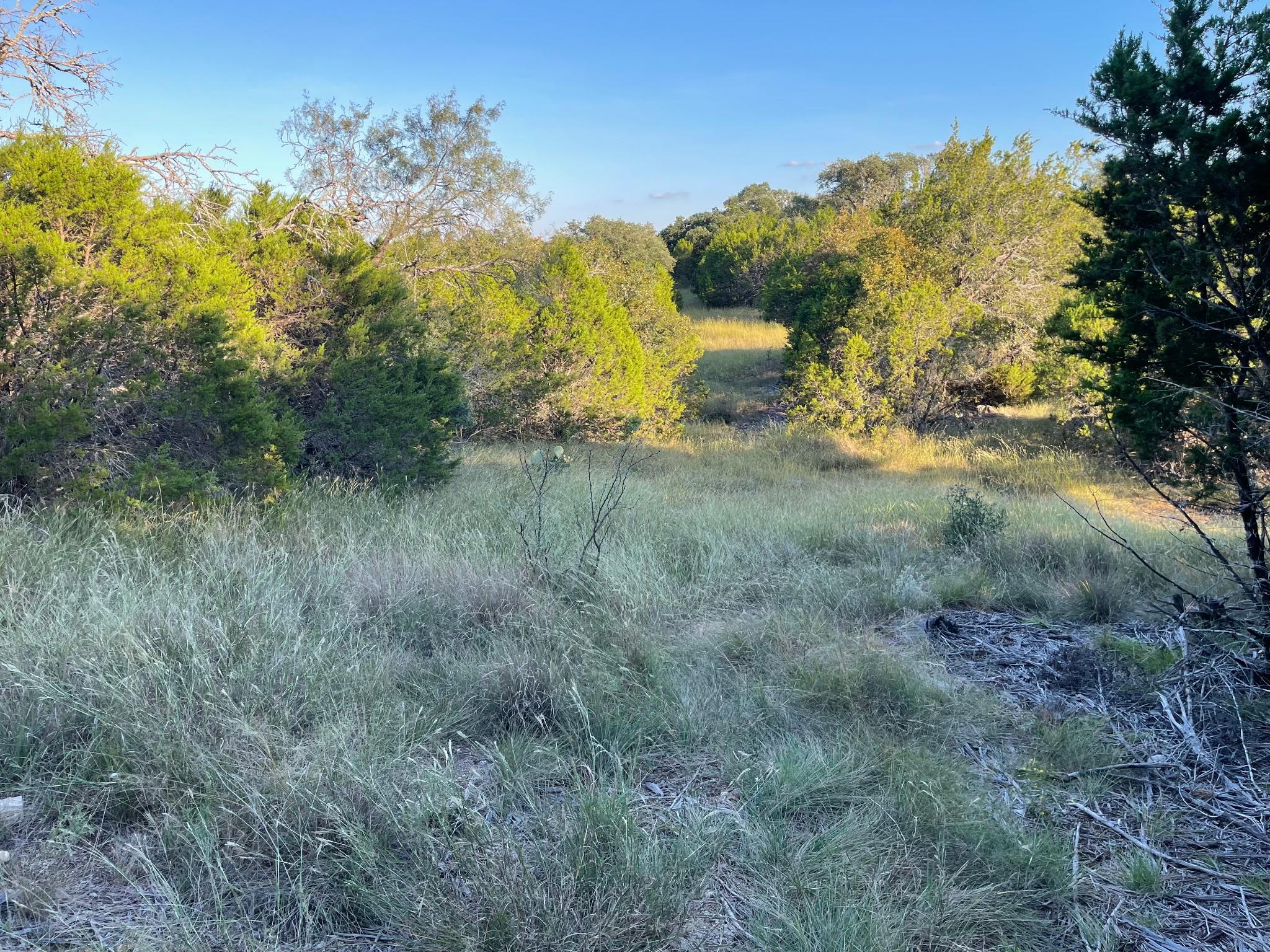 8166166 Property Photo 3