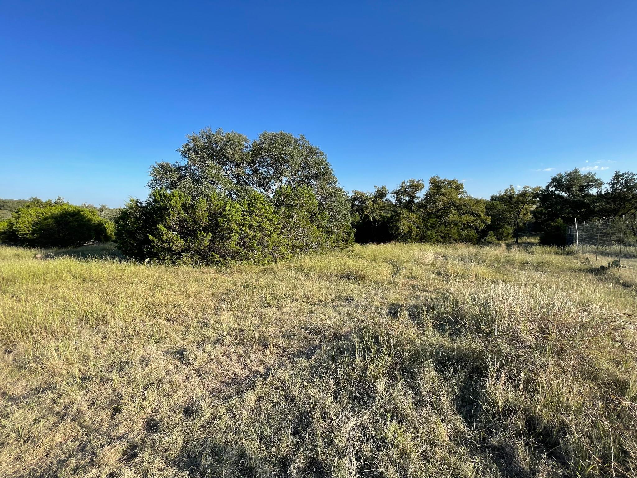 8166166 Property Photo 4