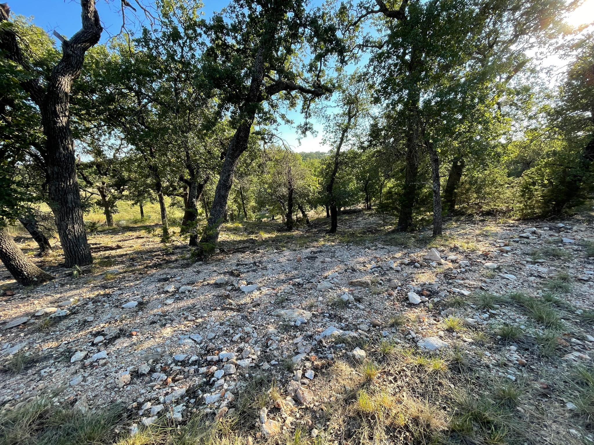 8166166 Property Photo 5