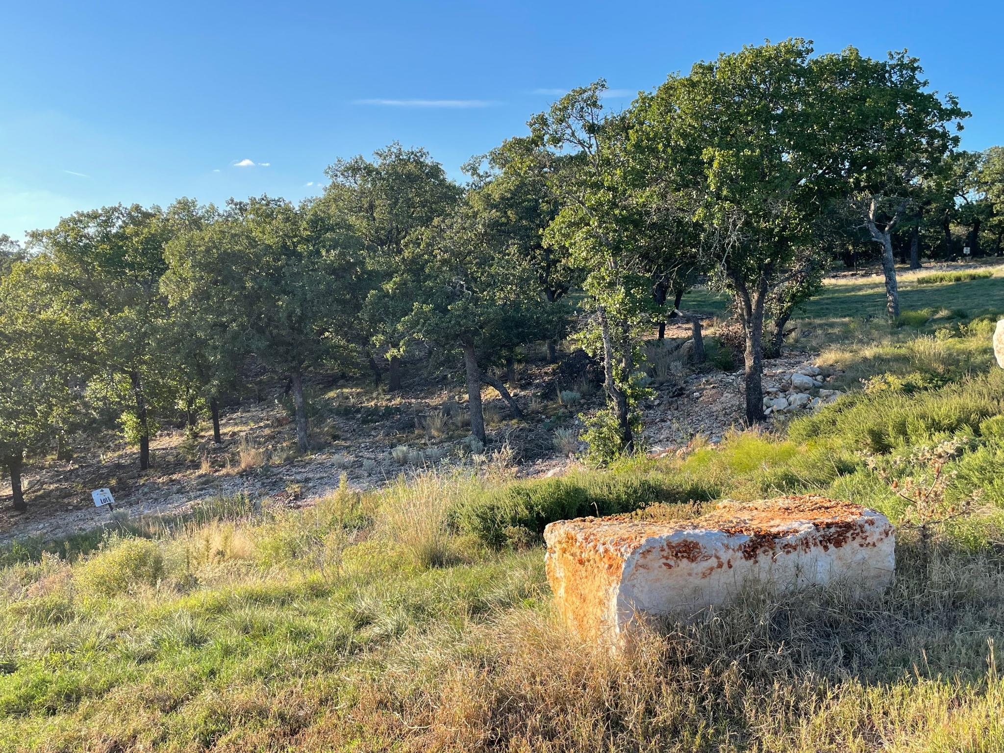 8166166 Property Photo 6