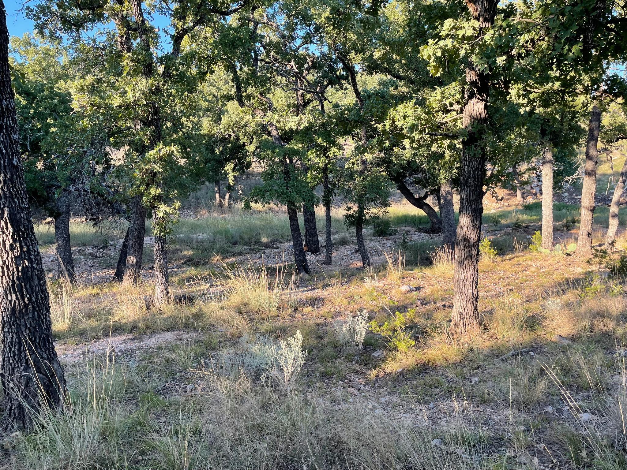 8166166 Property Photo 9