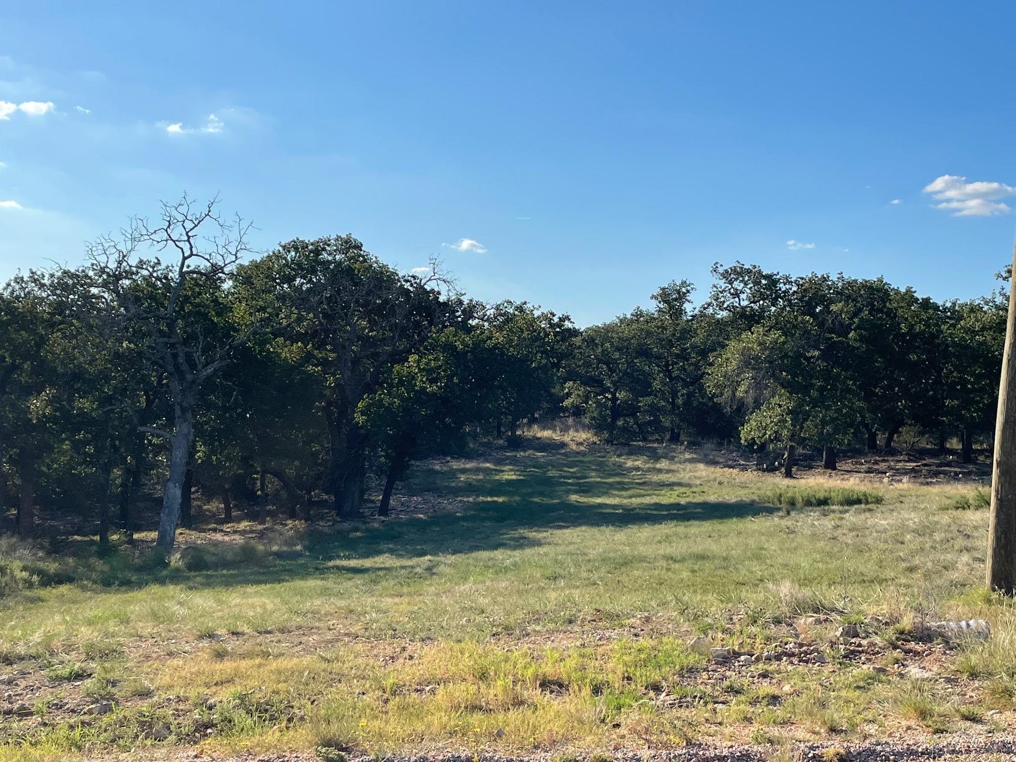 8166166 Property Photo 10