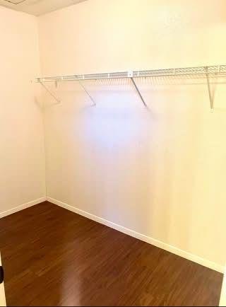 10616 Mellow Mdws #40b Property Photo 16