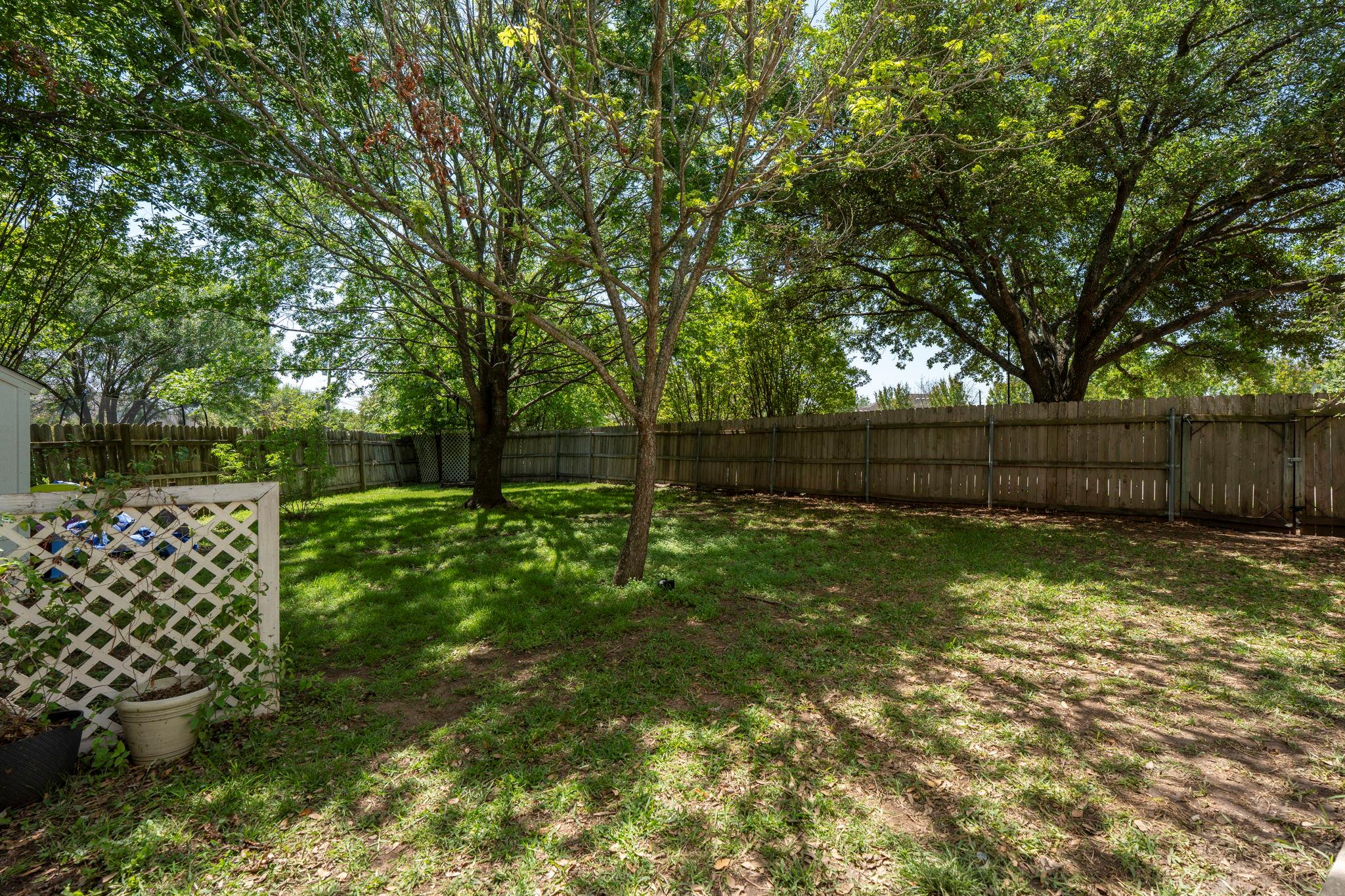 623 Prickley Pear Pass Property Photo 27