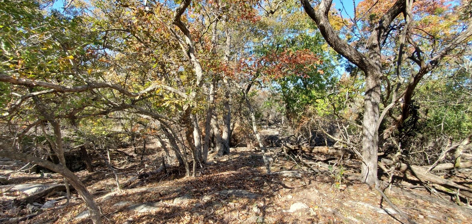 5500 Cliff Ln Property Photo 15