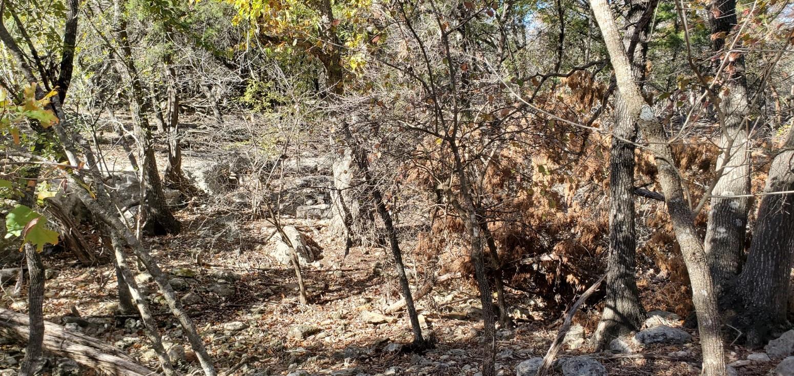 5500 Cliff Ln Property Photo 17