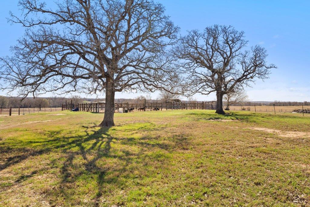950 S Fm 486 None Property Photo 38