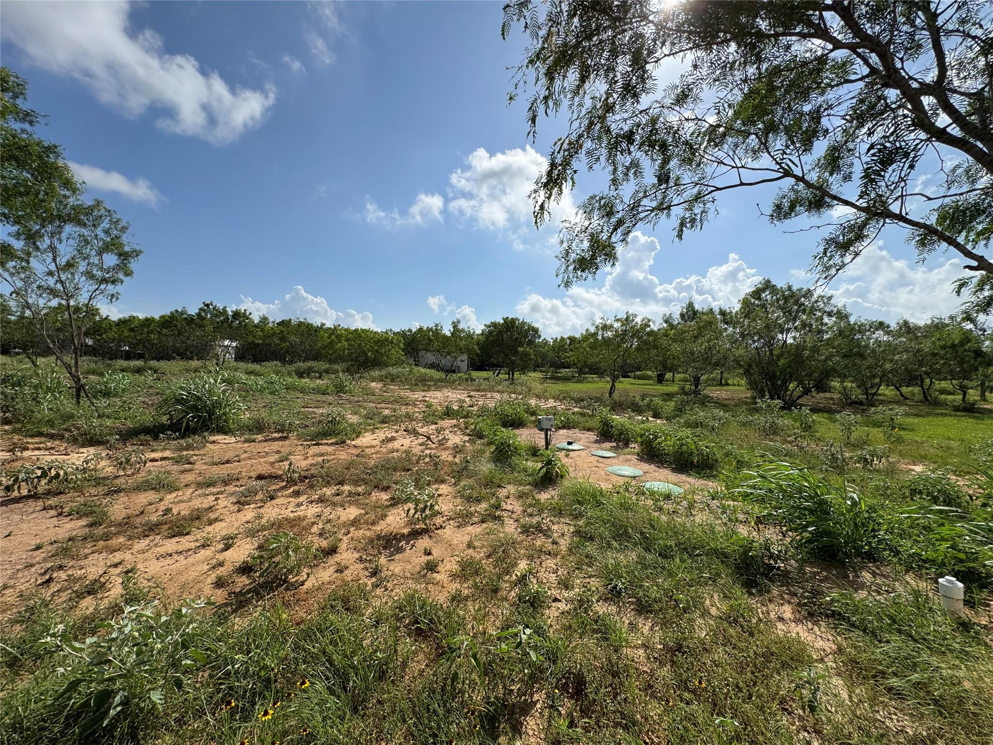2601 Tumbleweed Trl Property Photo 19