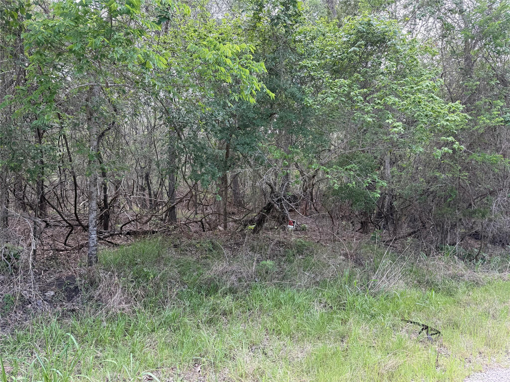 305 Nene Ln Property Photo 1