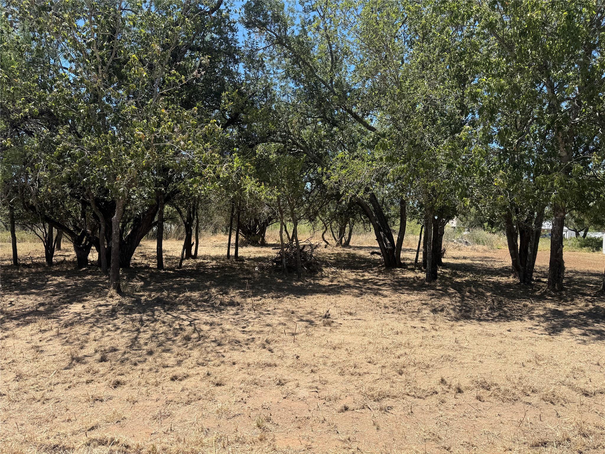 Lot #494 Driftwood Ln Property Photo 1