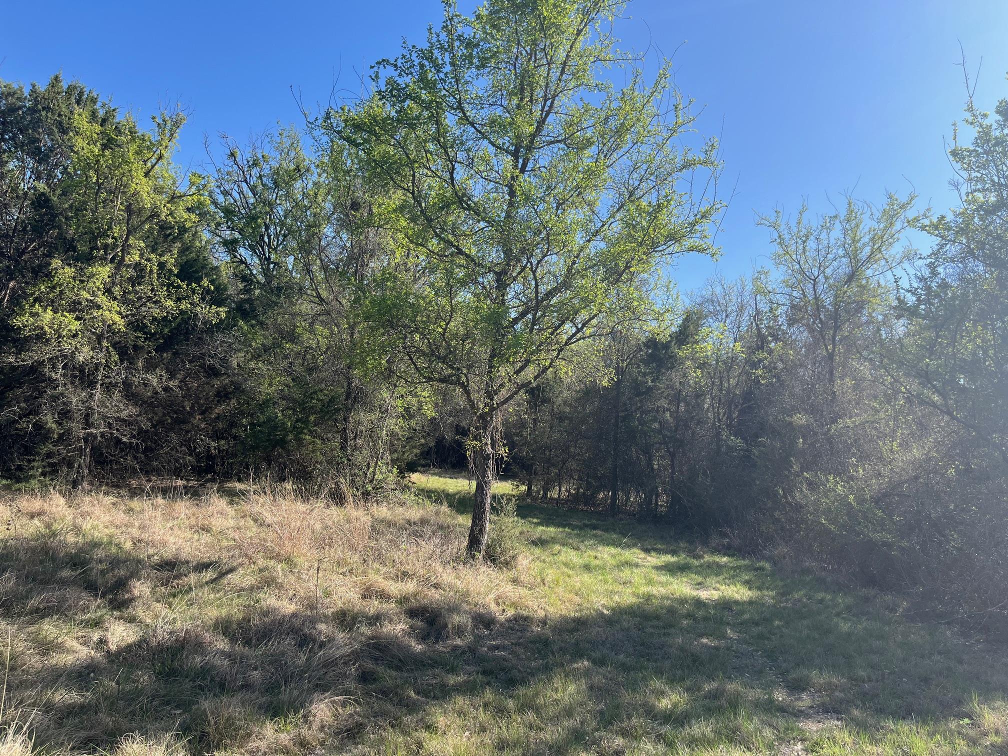 0 Us Hwy 183 N Highway Property Photo