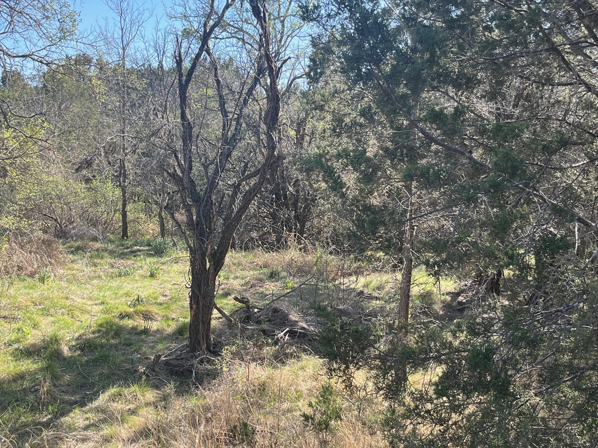 0 Us Hwy 183 N Highway Property Photo 2