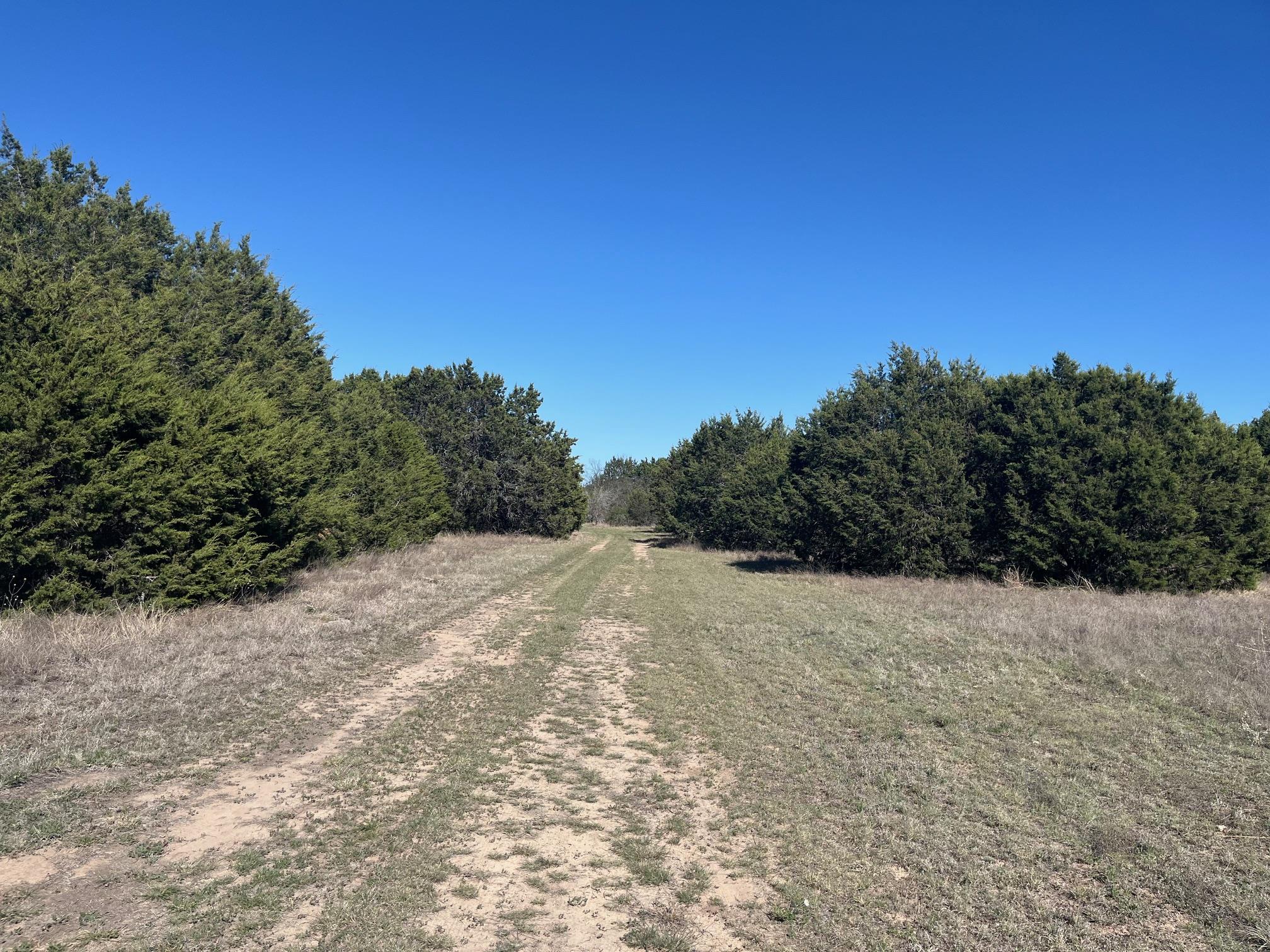 0 Us Hwy 183 N Highway Property Photo 4