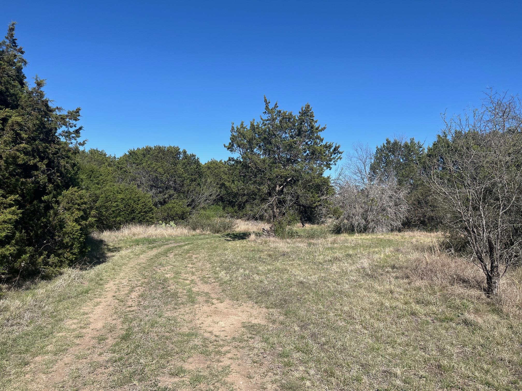 0 Us Hwy 183 N Highway Property Photo 5