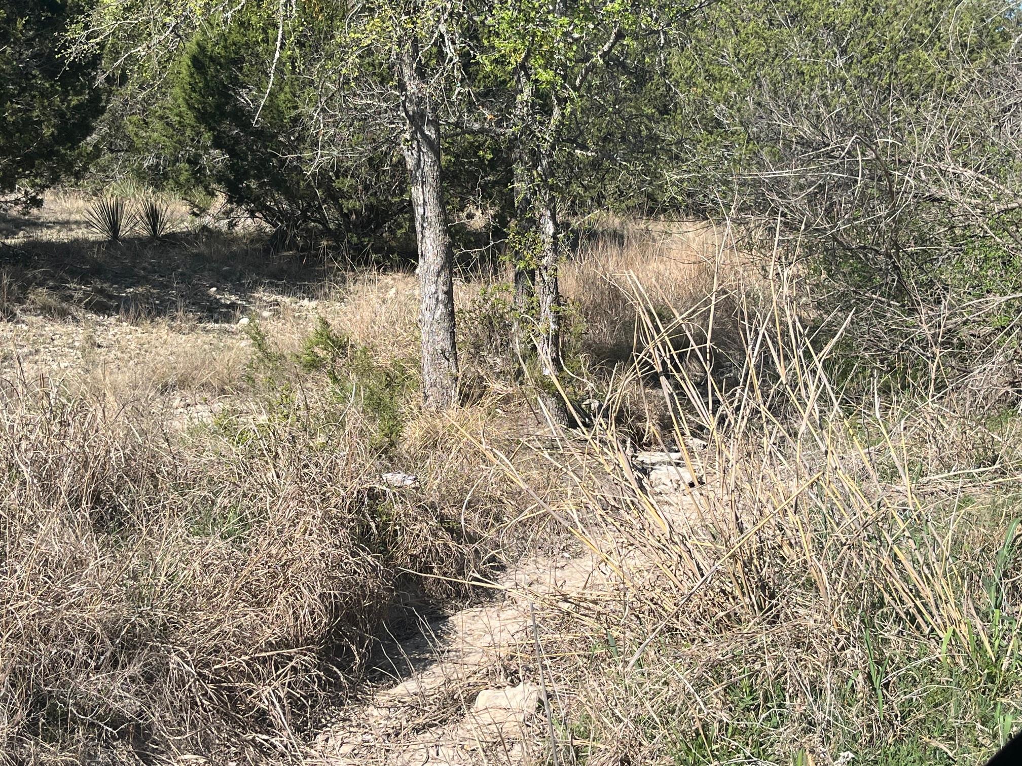0 Us Hwy 183 N Highway Property Photo 14
