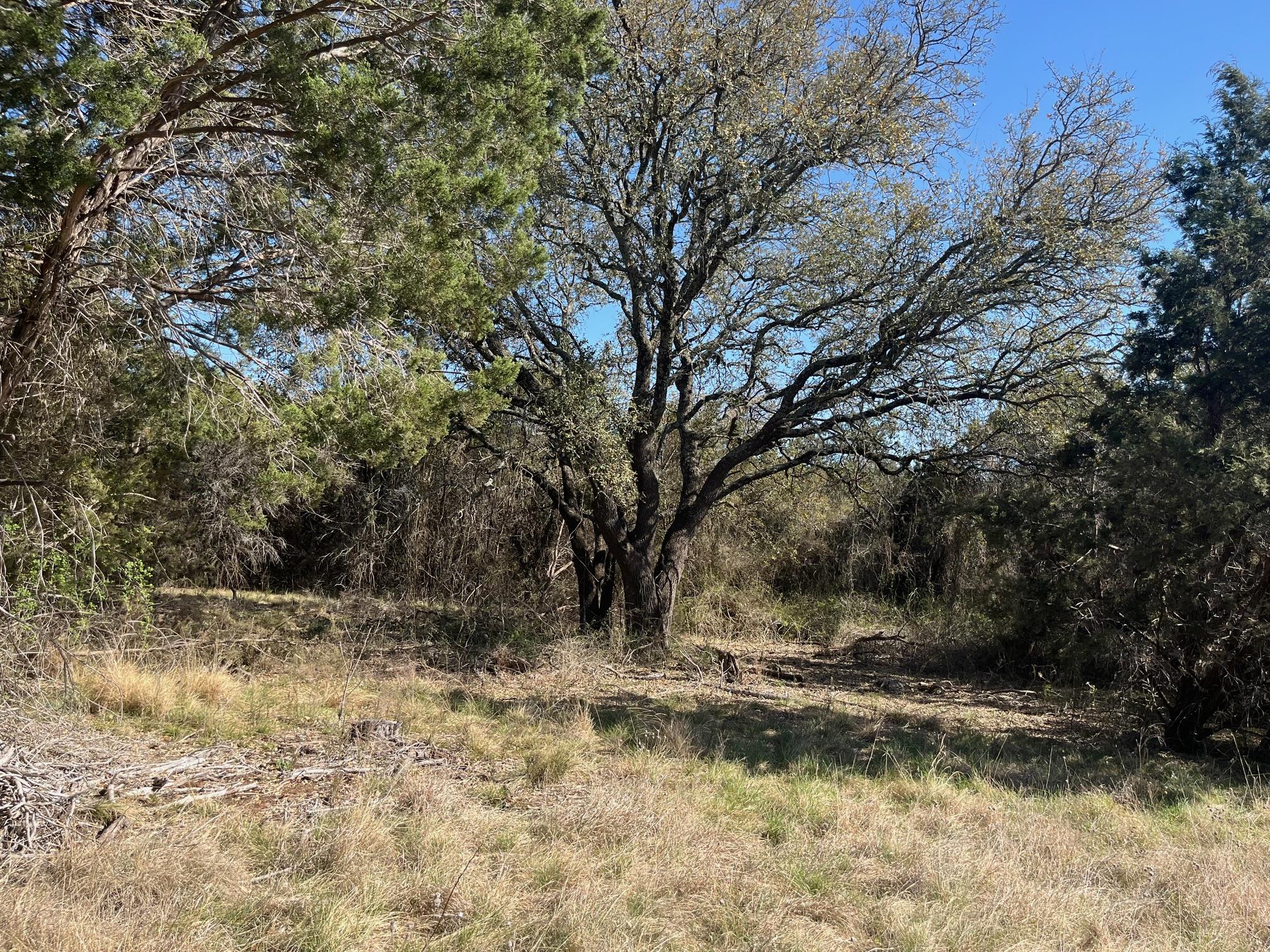 0 Us Hwy 183 N Highway Property Photo 18