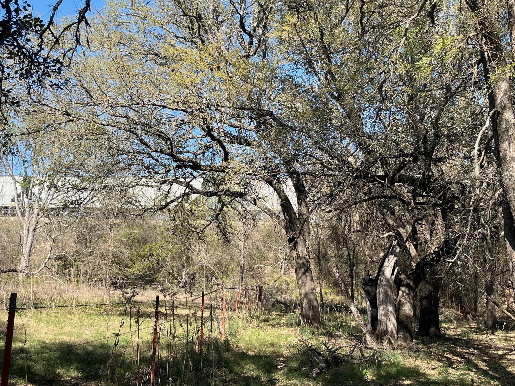 0 Us Hwy 183 N Highway Property Photo 19