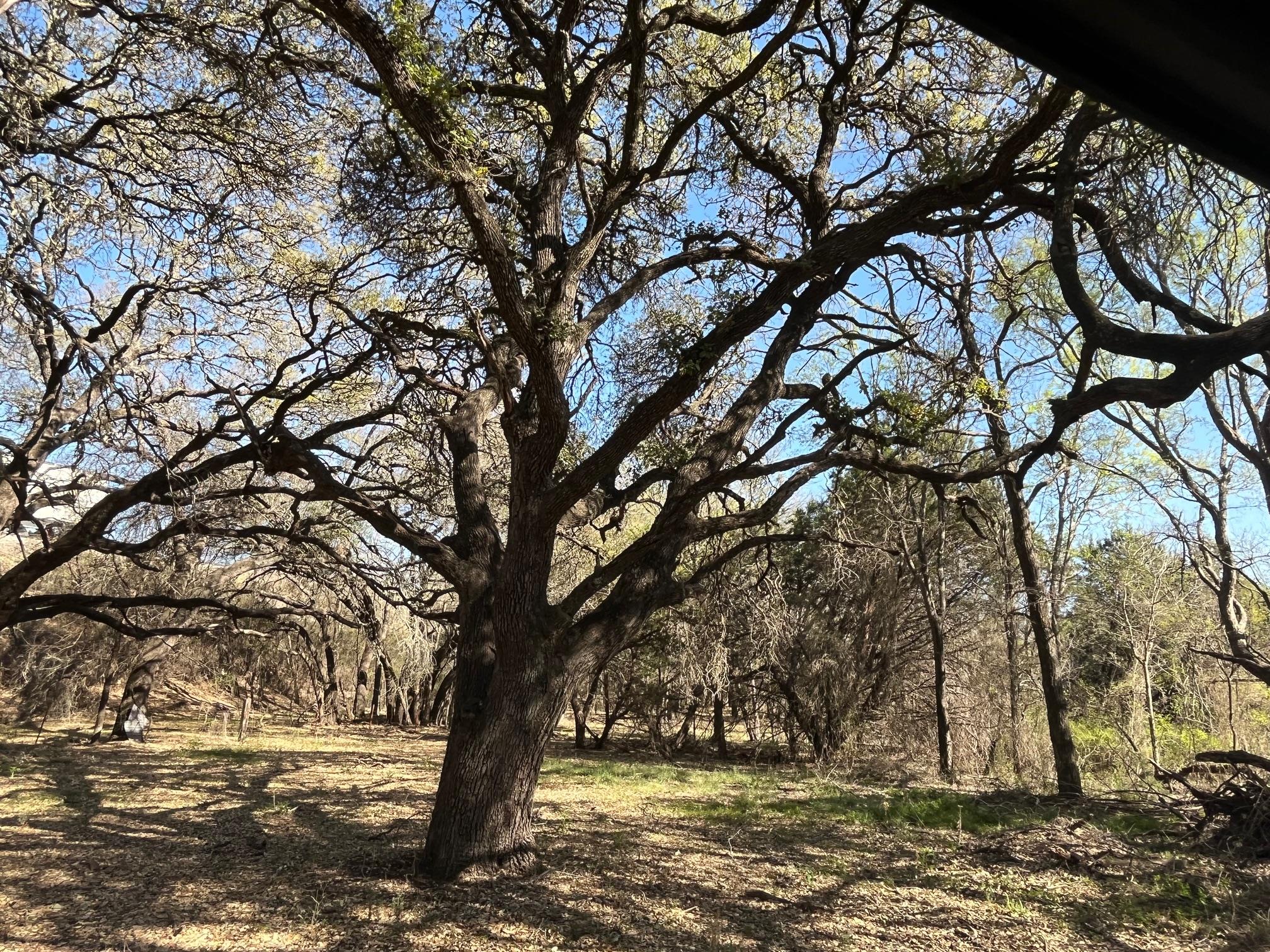 0 Us Hwy 183 N Highway Property Photo 20