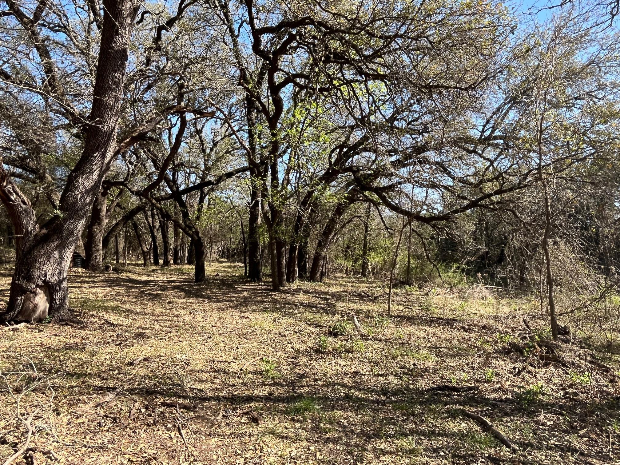 0 Us Hwy 183 N Highway Property Photo 21