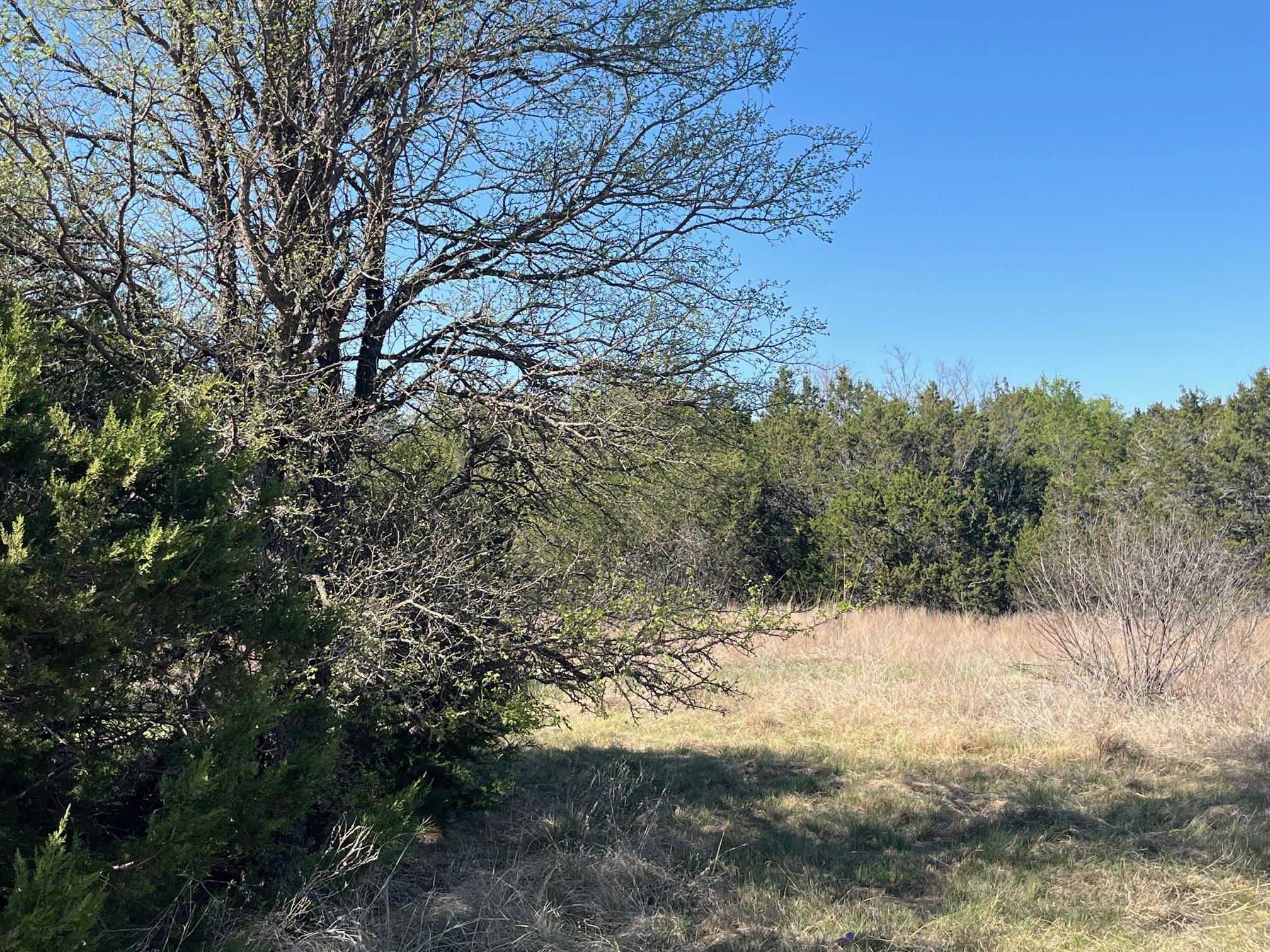 0 Us Hwy 183 N Highway Property Photo 24