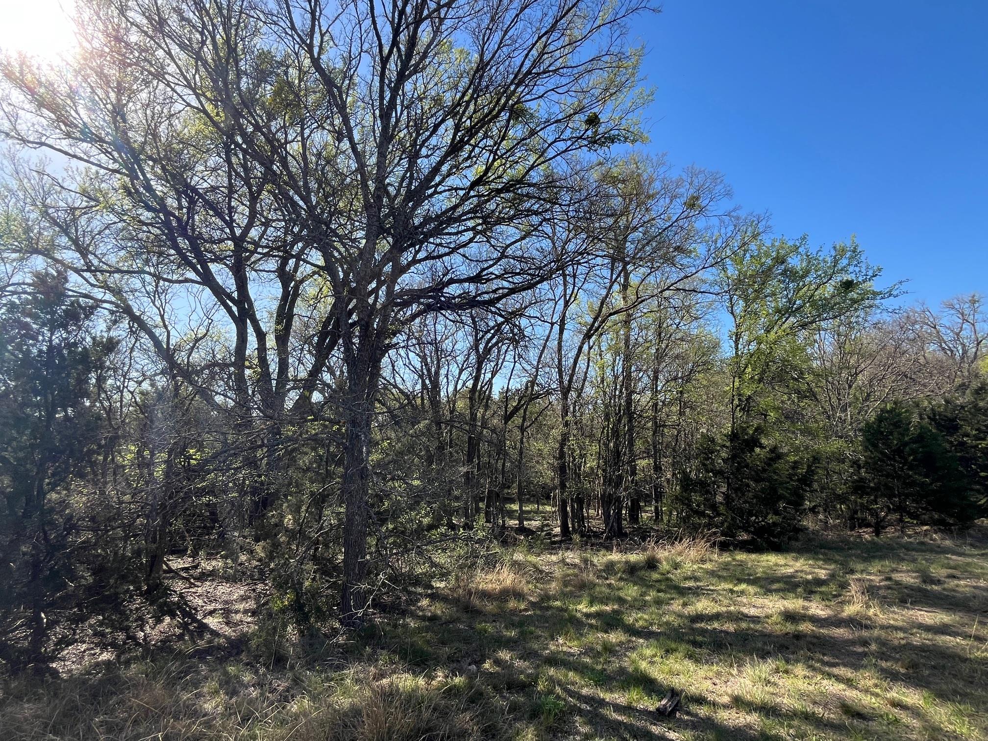 0 Us Hwy 183 N Highway Property Photo 29