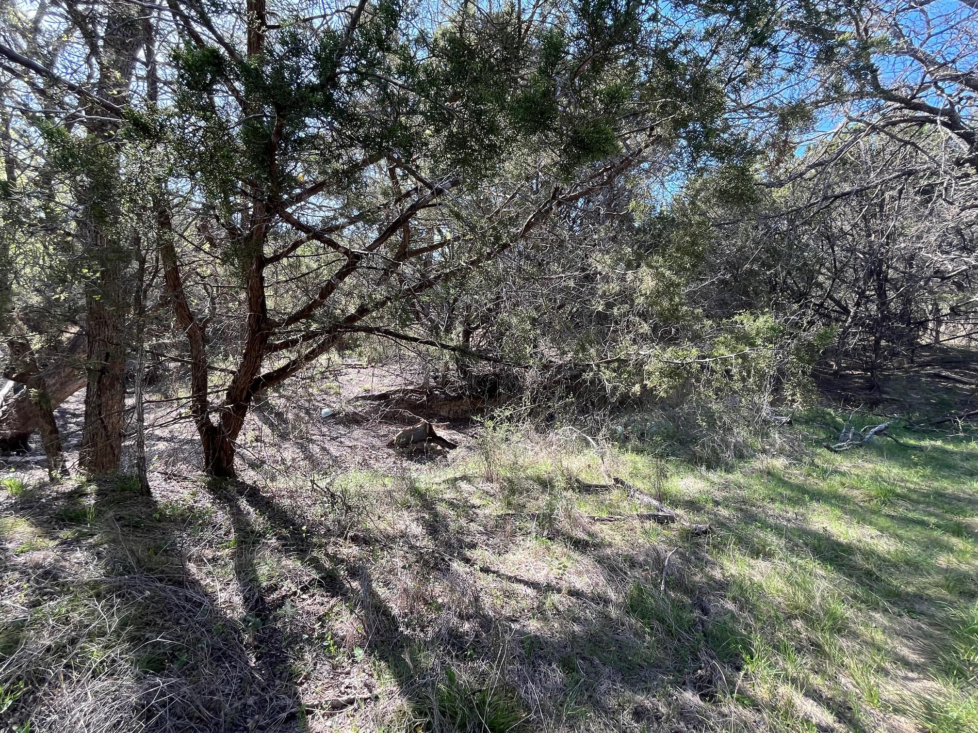 0 Us Hwy 183 N Highway Property Photo 30