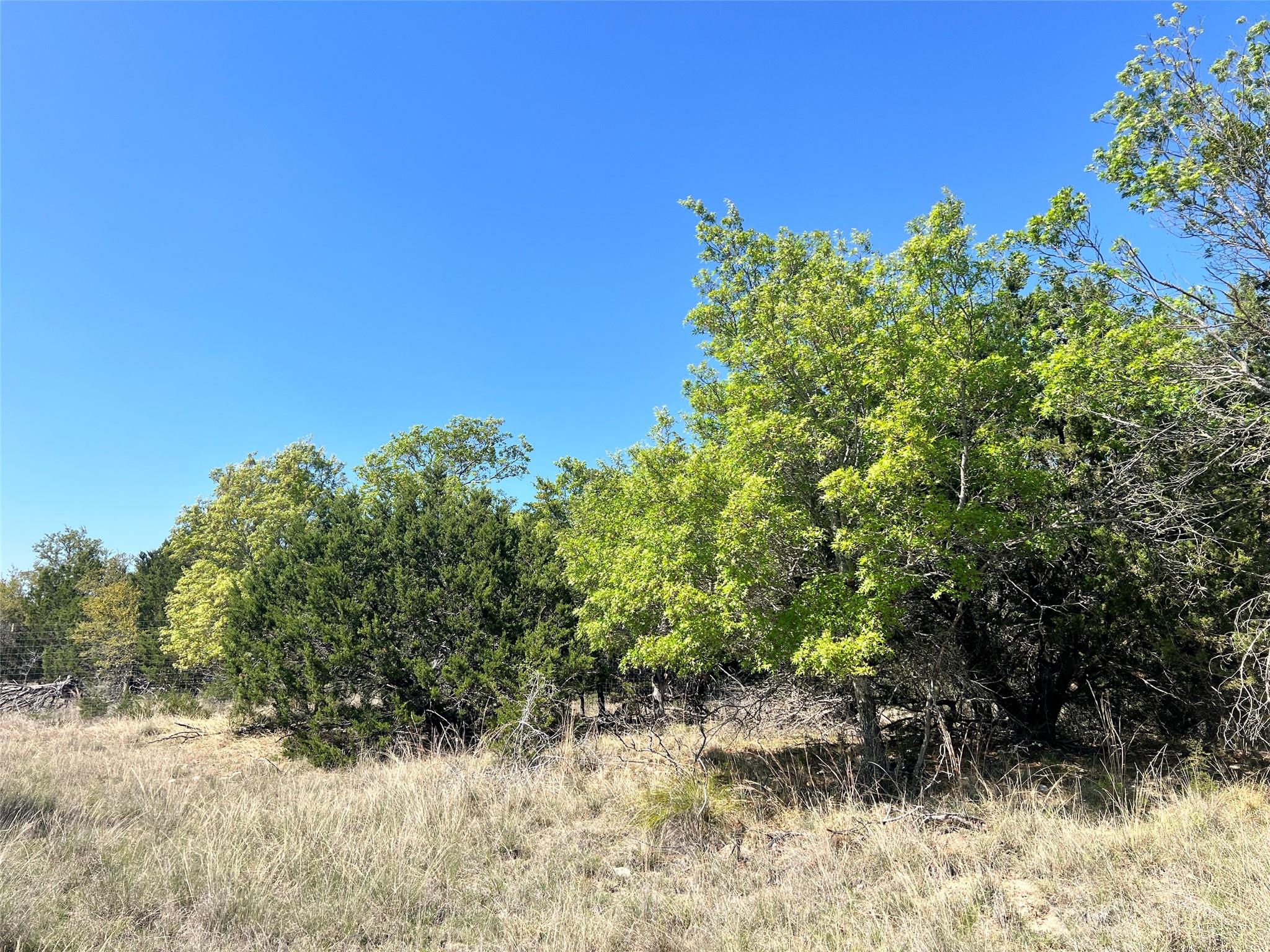 Lot 24 Private Road 3643 None Property Photo 6