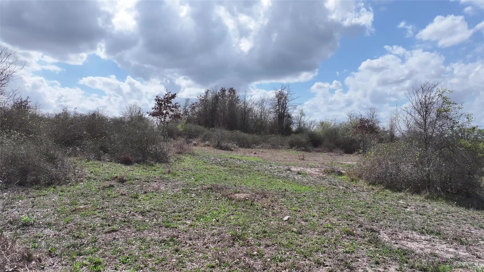 Tbd Fm 2440 None Property Photo 10
