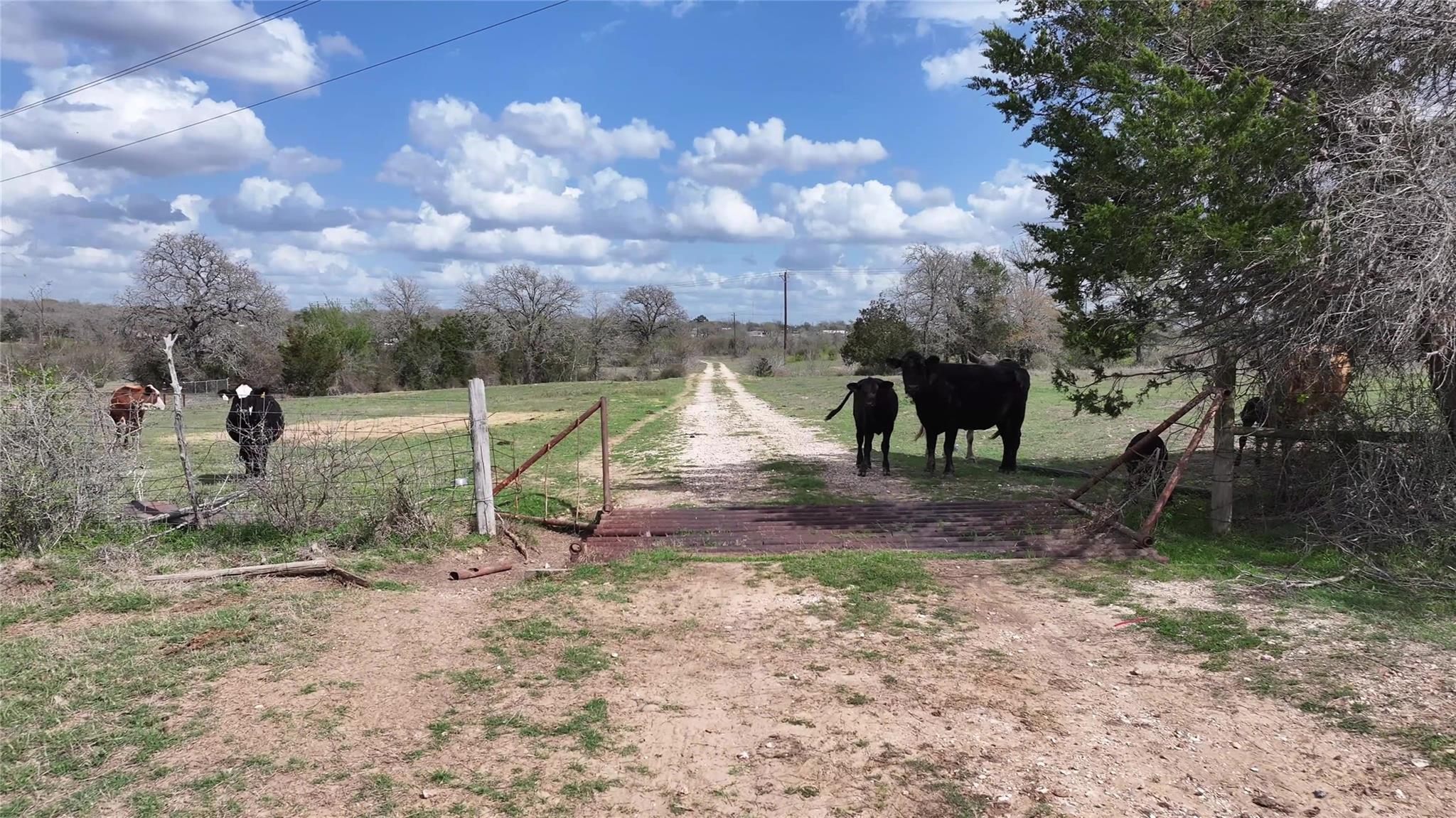 Tbd Fm 2440 None Property Photo 23