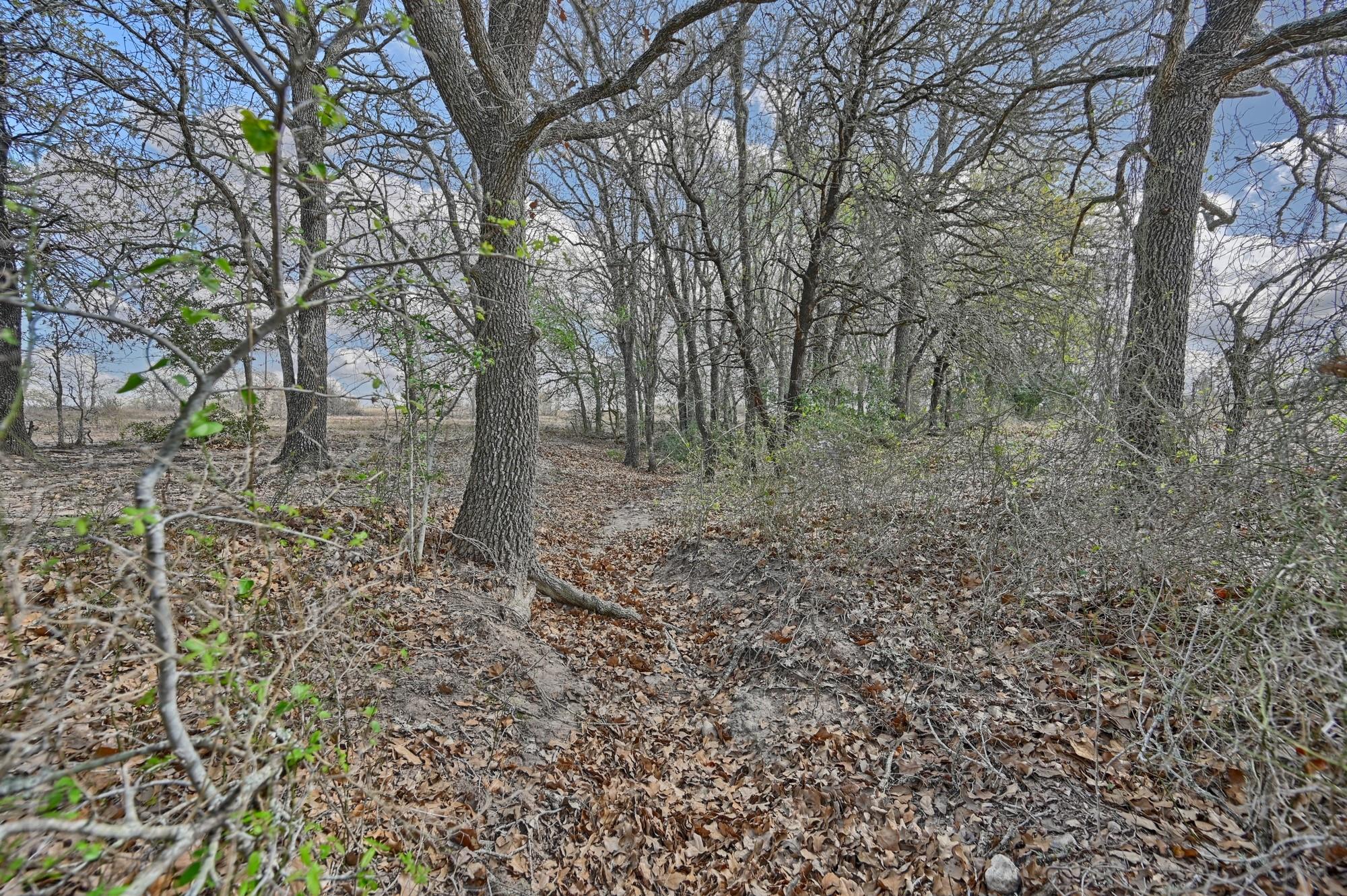 Tbd Fm 2440 None Property Photo 35