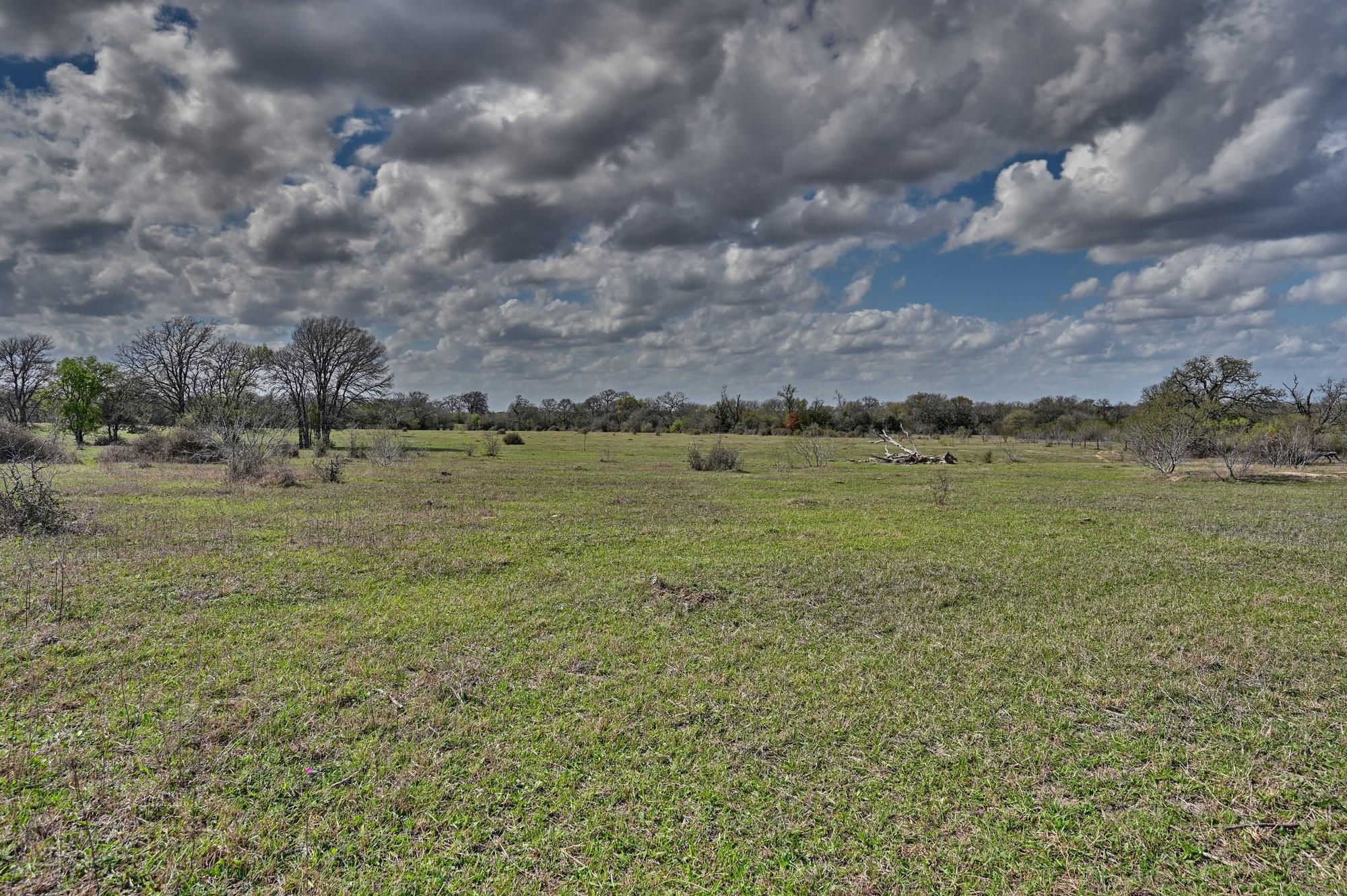 Tbd Fm 2440 None Property Photo 37