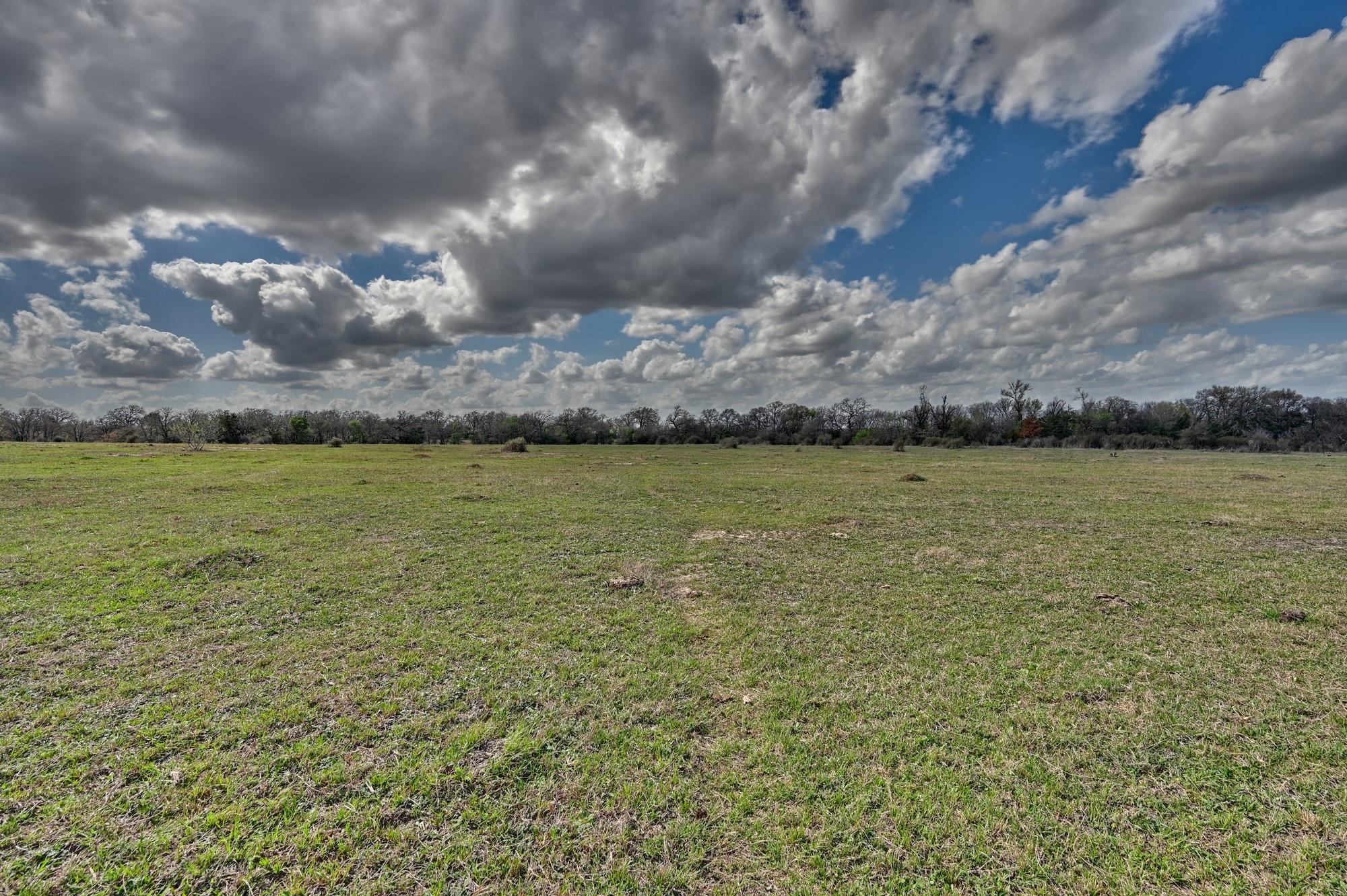 Tbd Fm 2440 None Property Photo 38