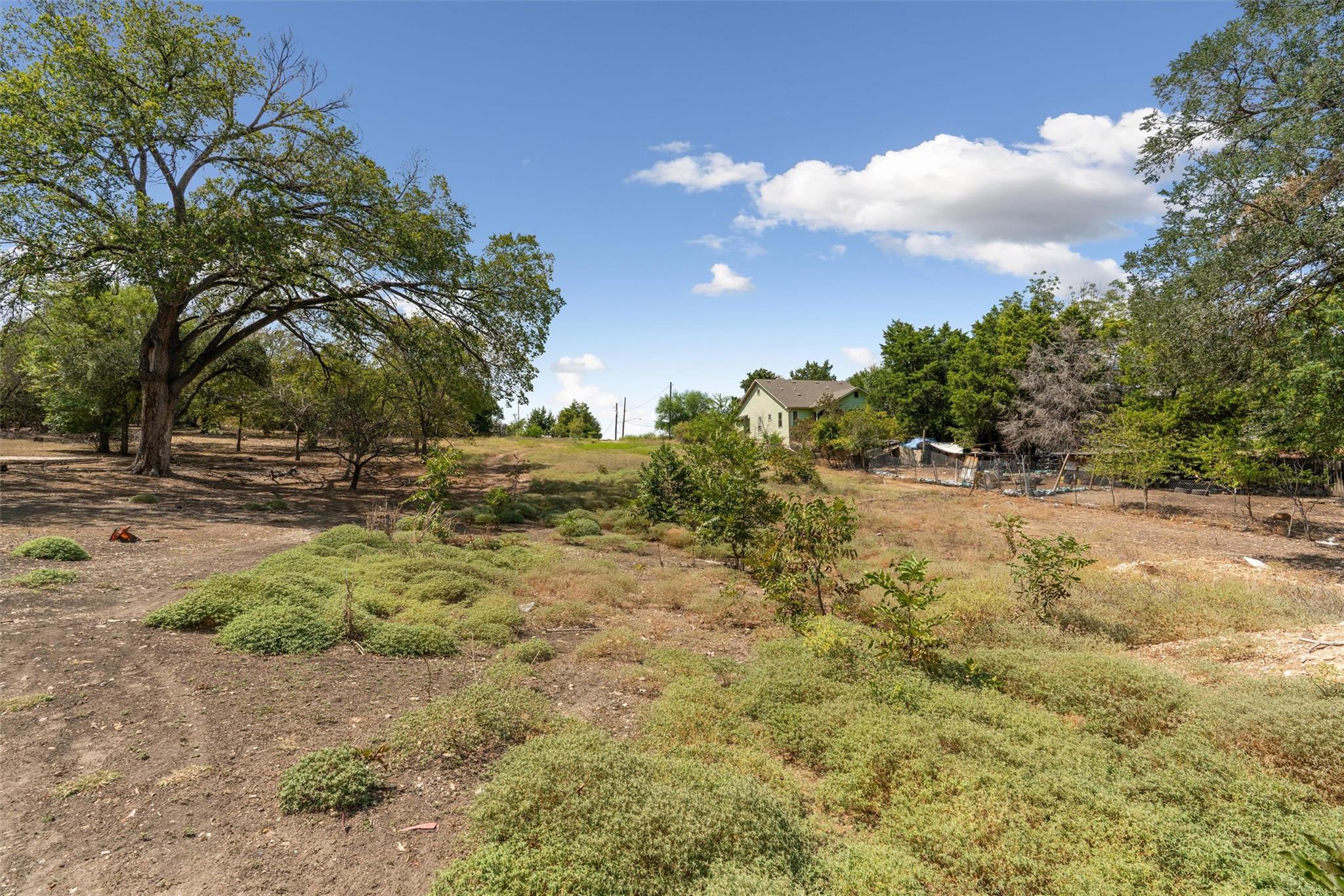 2404 Thrasher Ln Property Photo 6